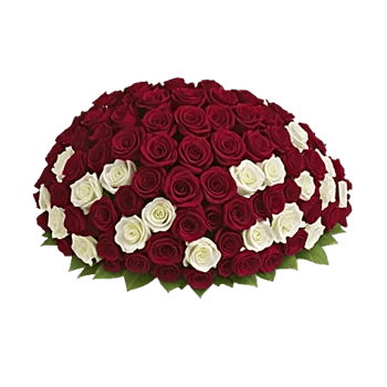 Crimson Rose Elegance