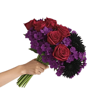 Petal Grace Harmony
