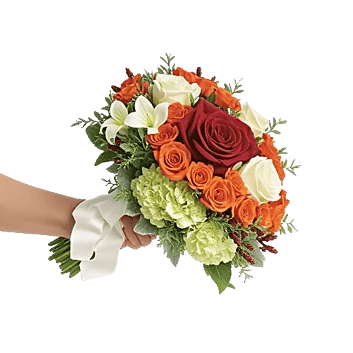 Blushing Rose Symphony