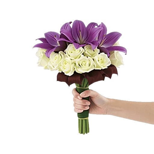 Elegant Calla Lilies