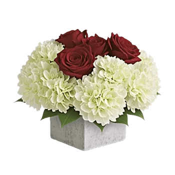 Delicate Petal Cascade