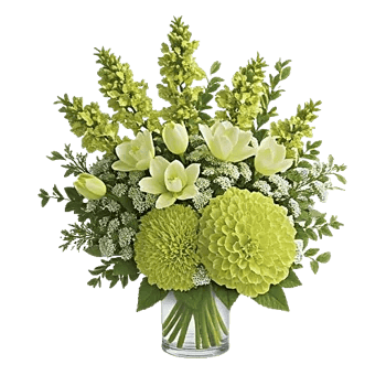 Ivory Blossom Radiance