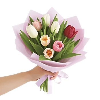 Velvet Tulip Display