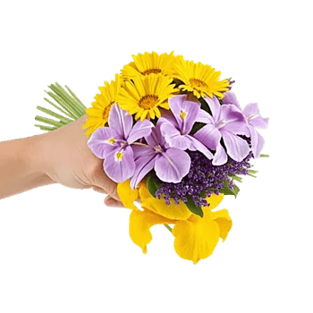 Blossom Harmony Display