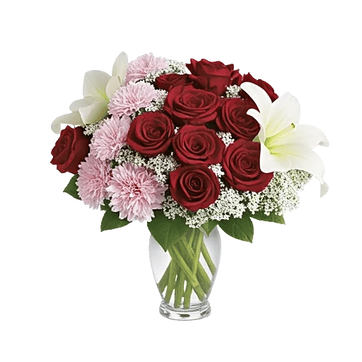 Crimson Rose Elegance