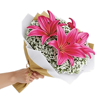 Blossom Petal Serenity