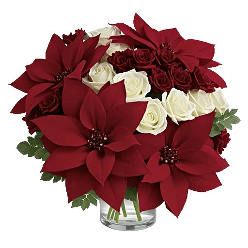 Petal Radiance Bliss