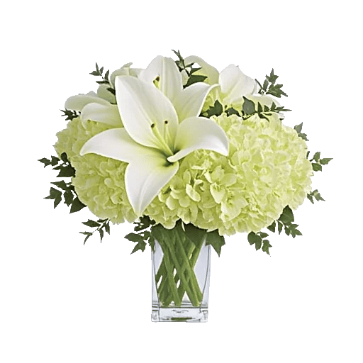 Serene Lily Cascade