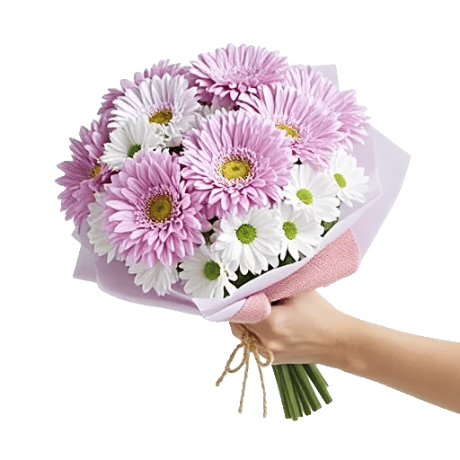 Plum Blossom Radiance