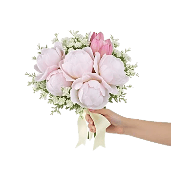 Peony Petal Harmony