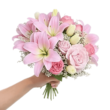 Blossom Harmony Display