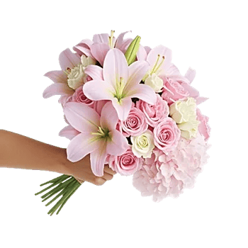 Blossom Harmony Display