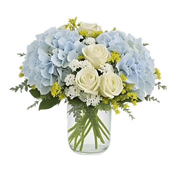 Serene Petal Harmony