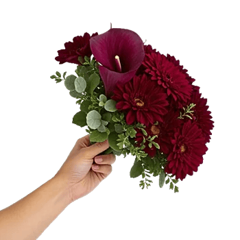 Elegant Calla Lilies