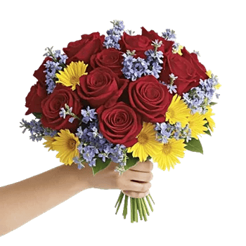 Crimson Rose Elegance