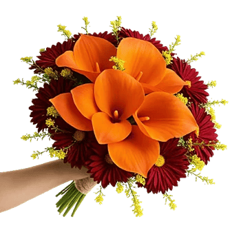 Elegant Calla Lilies