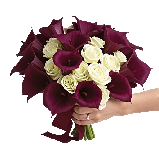 Elegant Calla Lilies