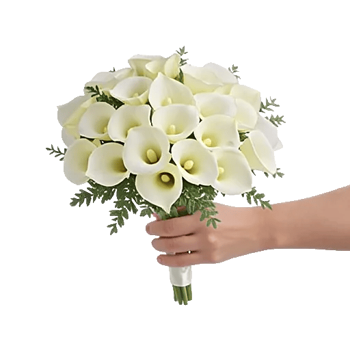 Elegant Calla Lilies