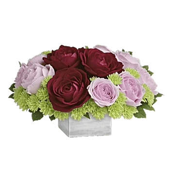 Petal Radiance Bliss