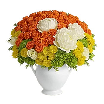 Petal Radiance Bliss