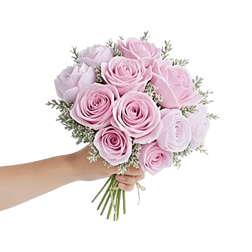 Pastel Pink Roses