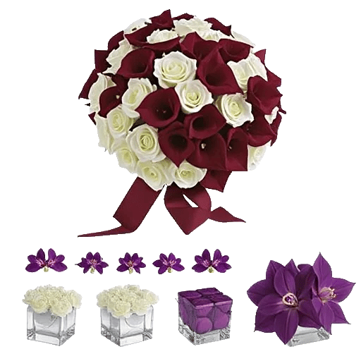 Elegant Calla Lilies