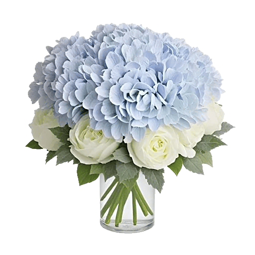 Blooming Serenity Display