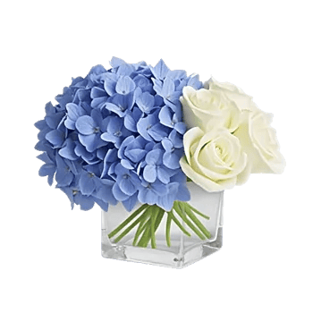 Serene Garden Harmony