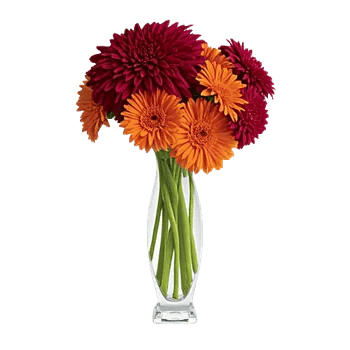 Crimson Blossom Harmony
