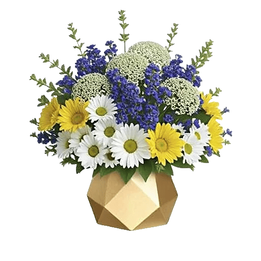 Fresh Meadow Blooms