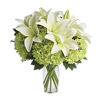 Ivory Blossom Radiance