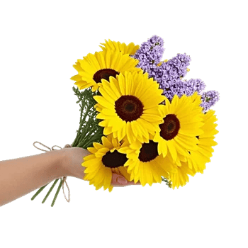 Enchanting Daisy Garden