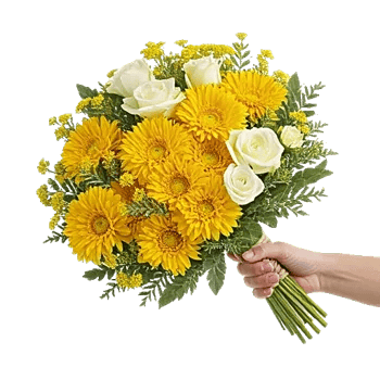 Blossom Harmony Display