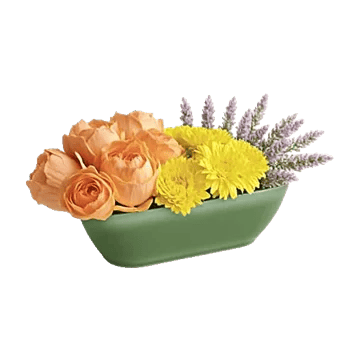 Delicate Petal Cascade