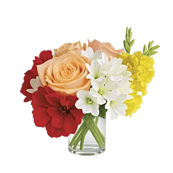 Petal Radiance Bliss