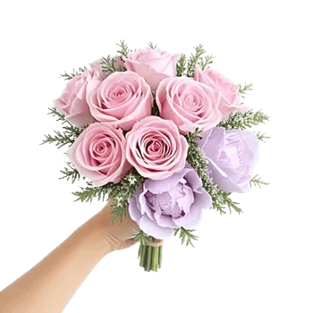 Pastel Pink Roses