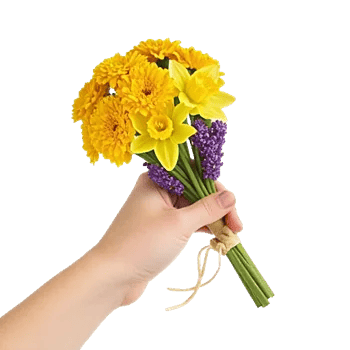 Golden Petal Harmony