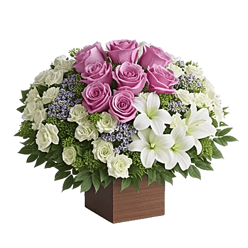 Ivory Blossom Radiance