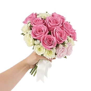 Pastel Pink Roses