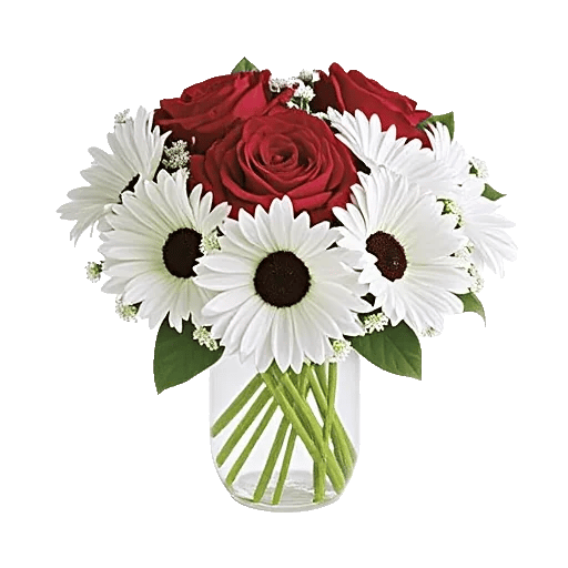 Crimson Rose Elegance