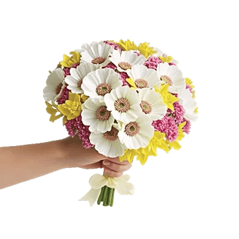 Delicate Petal Cascade