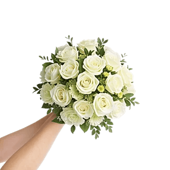 Ivory Garden Grace