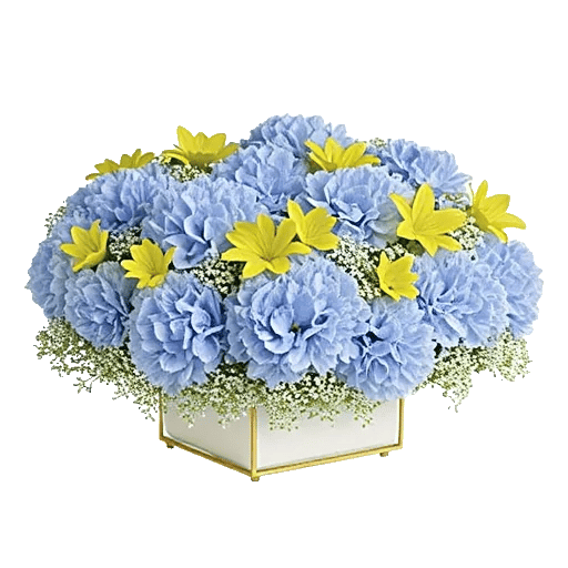 Blooming Serenity Display