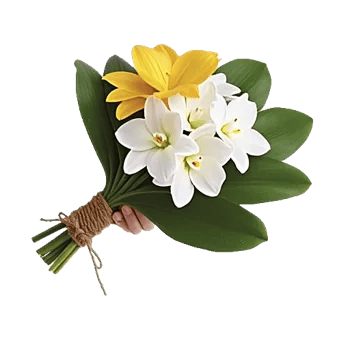 Modern White Orchids