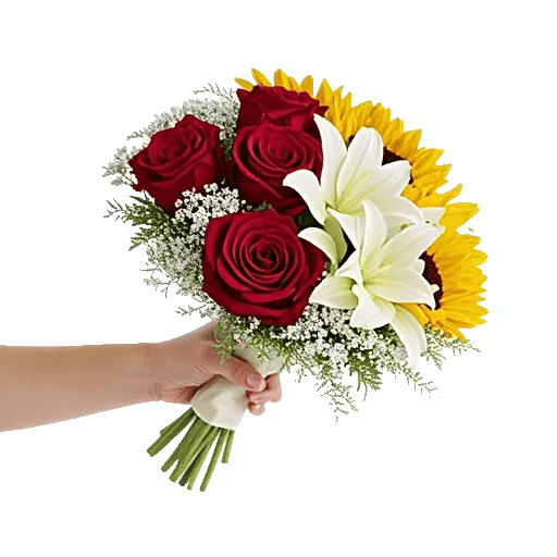 Blushing Rose Symphony