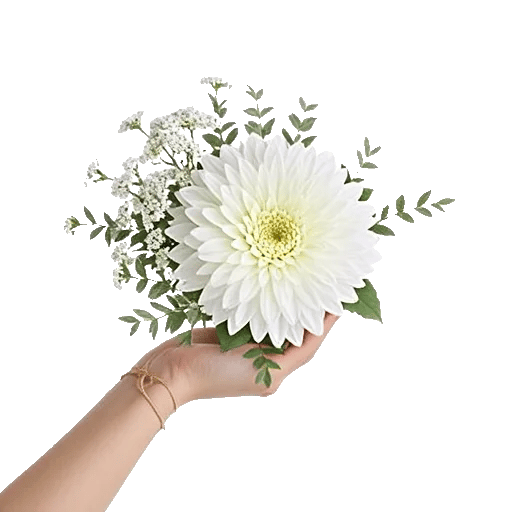 Minimalist White Orchids