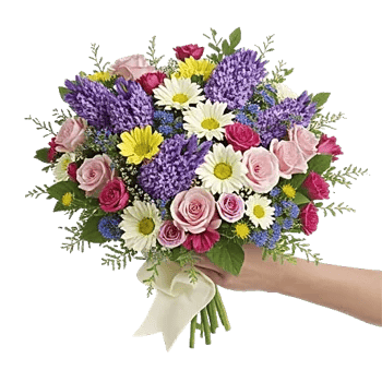 Lavender Bloom Grace