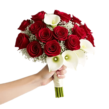 Blushing Rose Symphony