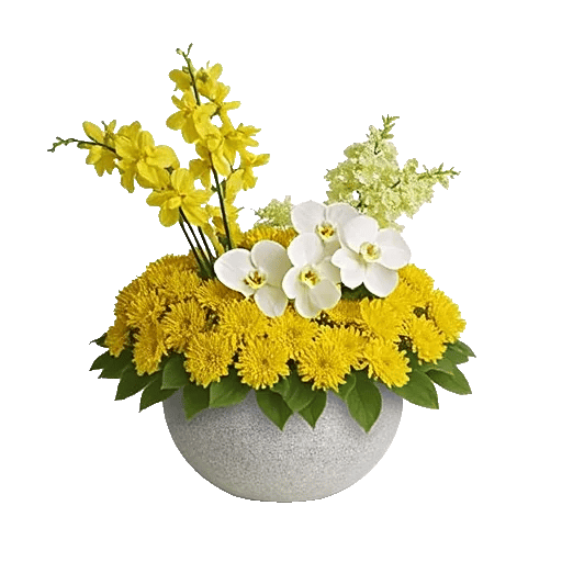 Modern White Orchids