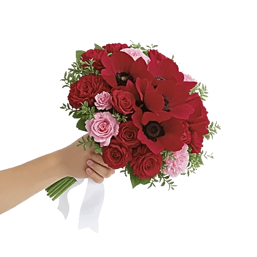 Crimson Rose Elegance